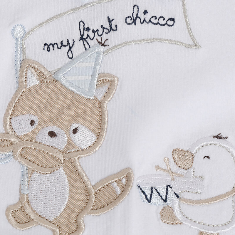 Boys White and Light Blue Applique Nappy Opening Babysuit image number 3